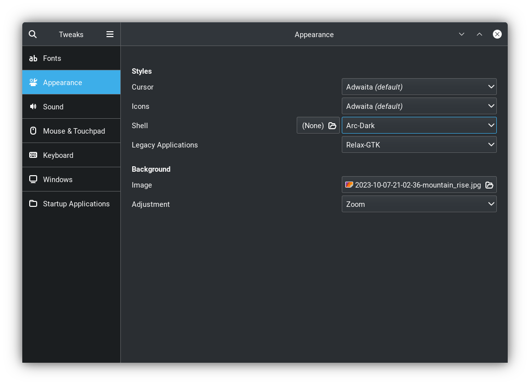 The apperance tab in the tweaks tool.